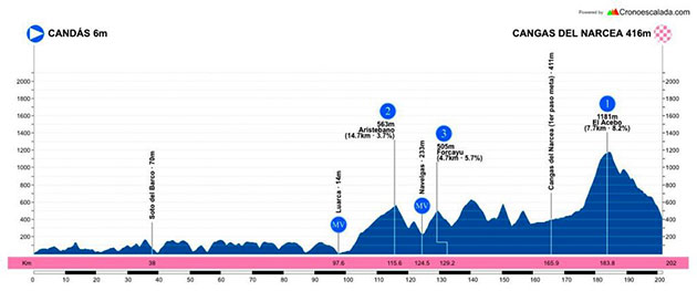 Stage 2 profile